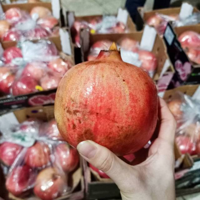 

Buah delima perru