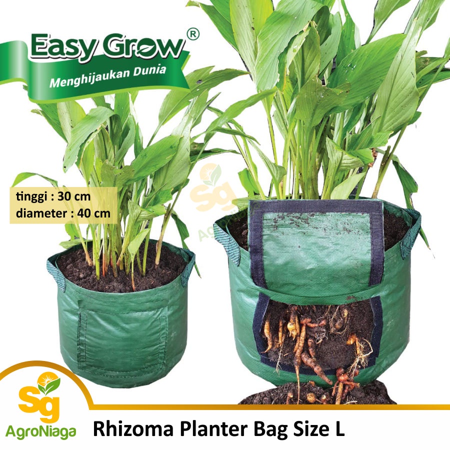 Rhizoma Planter Size L Planter Bag Umbi Easy Grow