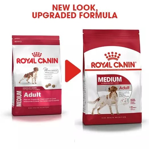 ROYAL CANIN MEDIUM ADULT 10 KG (KHUSUS NON GOJEK/GRAB)