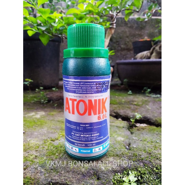 ANTONIK pengatur zat tumbuh
