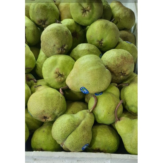 

buah pir hijau manis/1kg