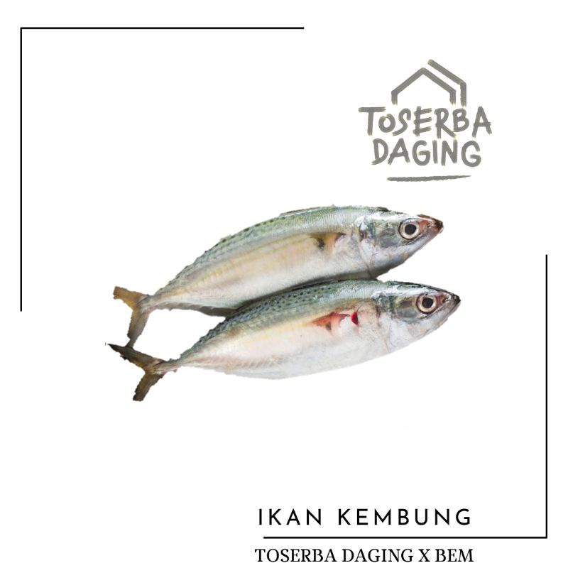 

IKAN KEMBUNG BANJAR
