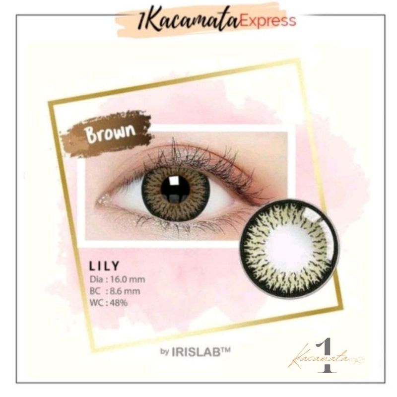 SOFTLENS WARNA