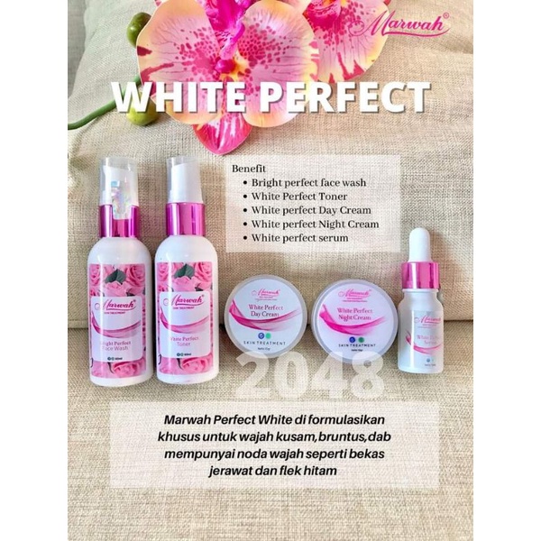 ECER MARWAH SKINCARE PAKET WHITE PERFECT NIGHT CREAM