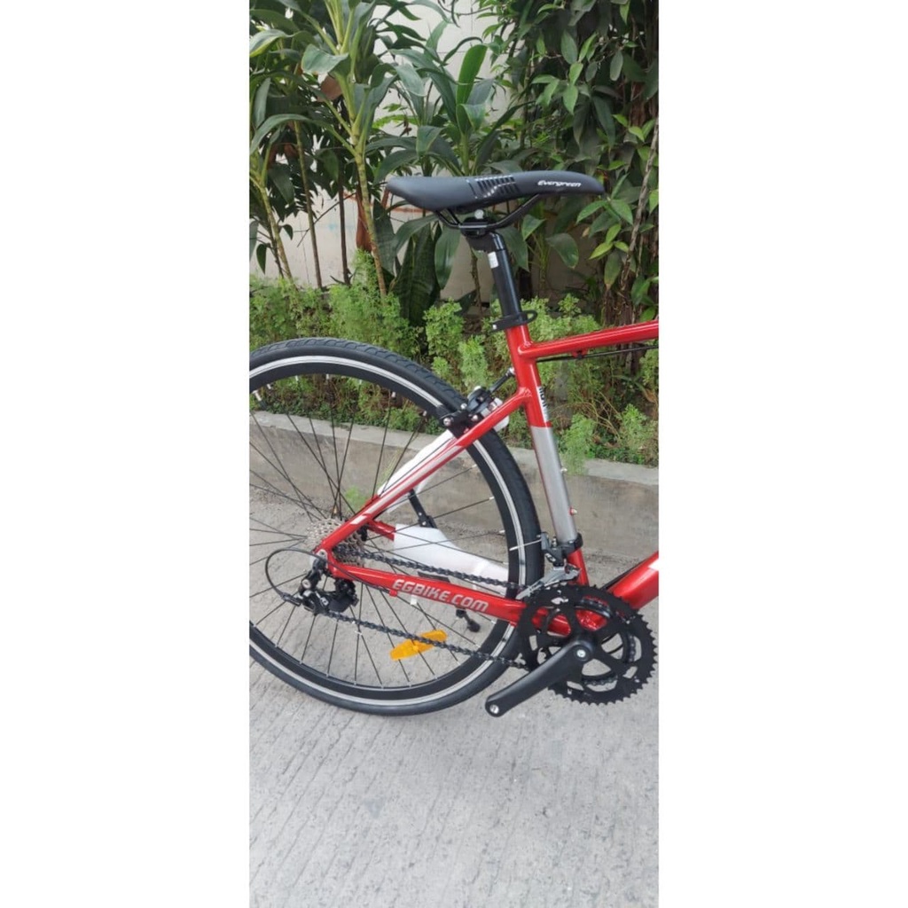 Roadbike EVERGREEN RAPIER 208 R 700C Alloy 2x8 Speed