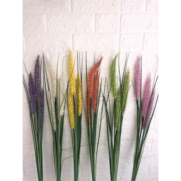 (25) ILALANG DEKOR / RUMPUT ILALANG / ILALANG AESTHETIC