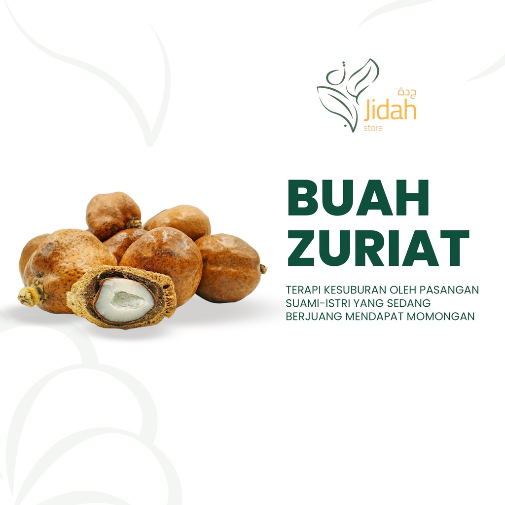 Buah Zuriat Promil madinah original kembar asli promil buah doum buah dzuriat PCS buah zuriyat COD promil jsr zaidul akbar promil suami istri promil alami ampuh 100% promil bersama bayi laki laki promil buah program hamil cepat alami dan ampuh