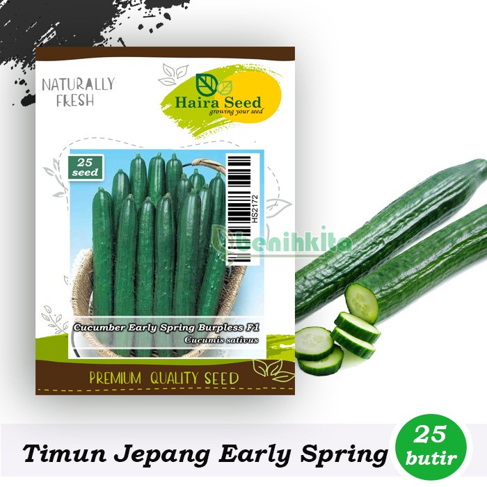 Benih-Bibit Timun Jepang Early Spring Burpless F1 (Haira Seed)