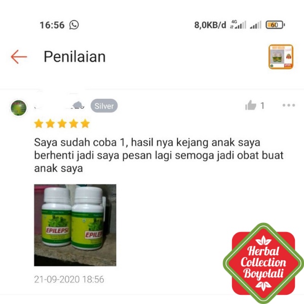 Obat herbal epilepsi alami untuk Ayan atau epilepsi dan gejalanya-3
