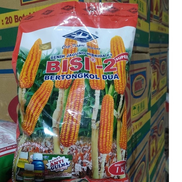 BISI 2 BENIH JAGUNG SUPER HIBRIDA