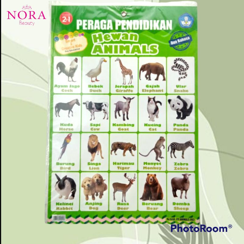 Poster 2in1 untuk anak - Seri Hewan