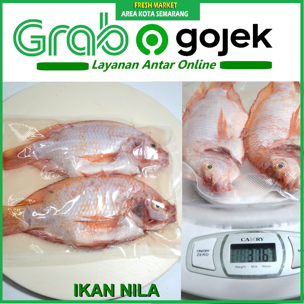 

[FRESH MARKET] ikan nila 2 ekor sekitar 400gr IKAN SEGAR kirim grab online area semarang