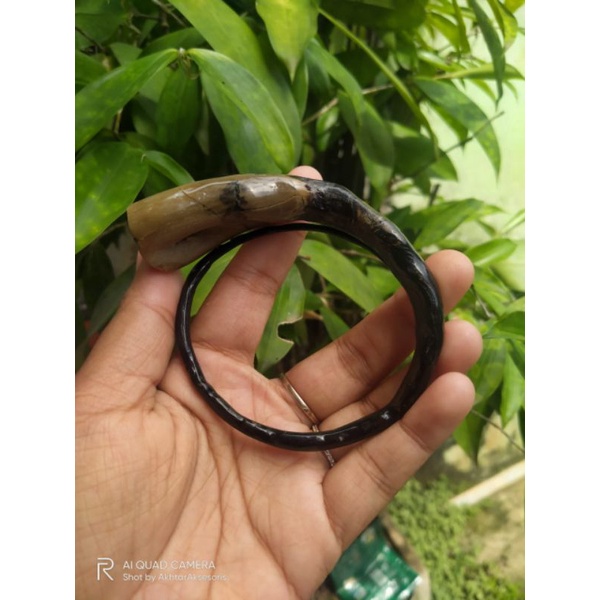 gelang akar Bahar bonggol