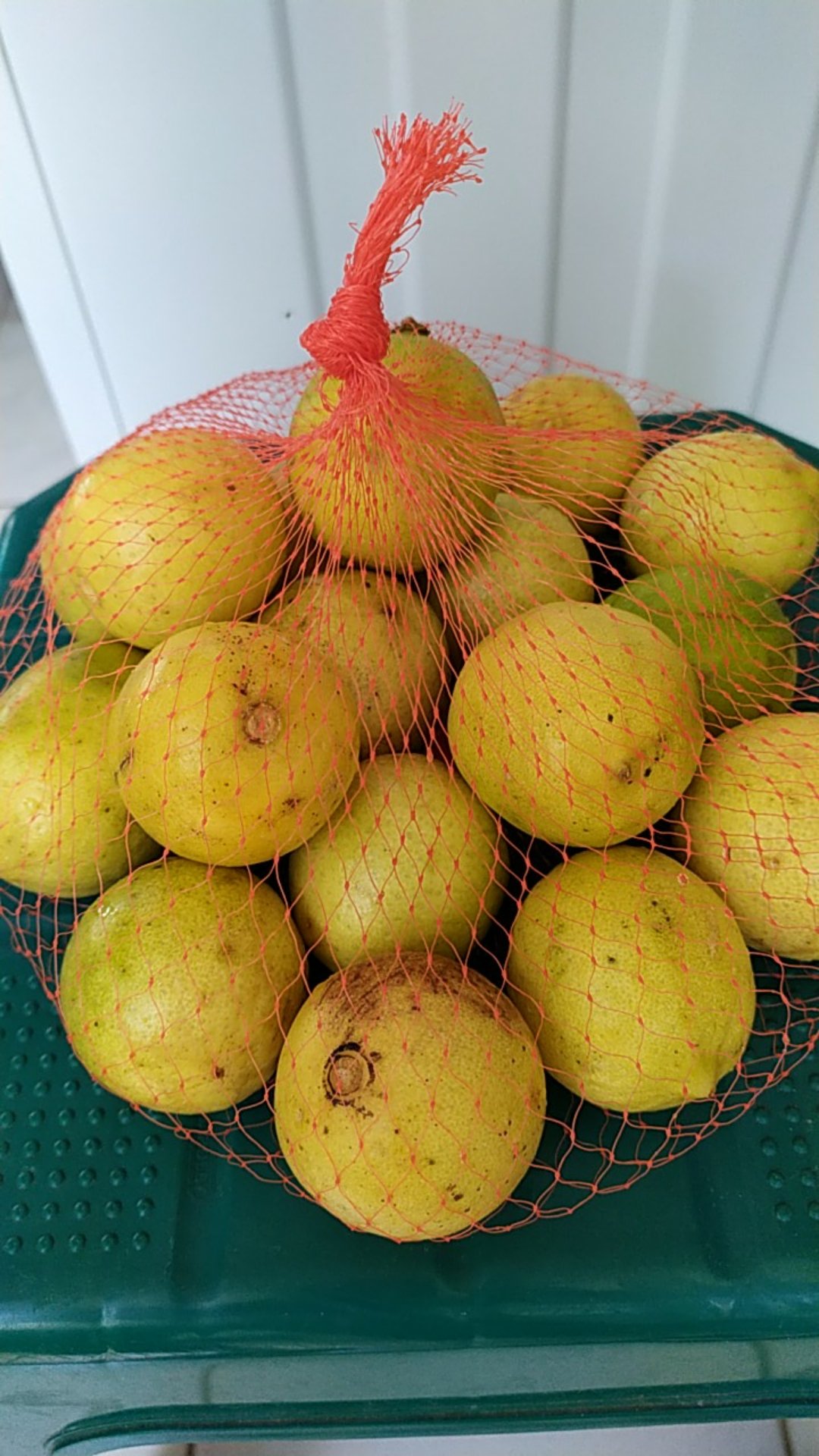 Jeruk Lemon Lokal 1kg