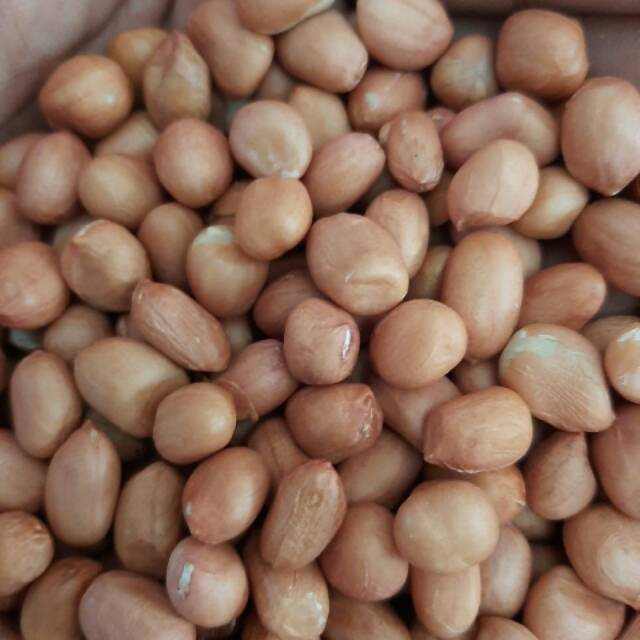 

Kacang tanah 500gr