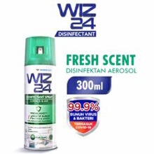 WIZ 24 300ml