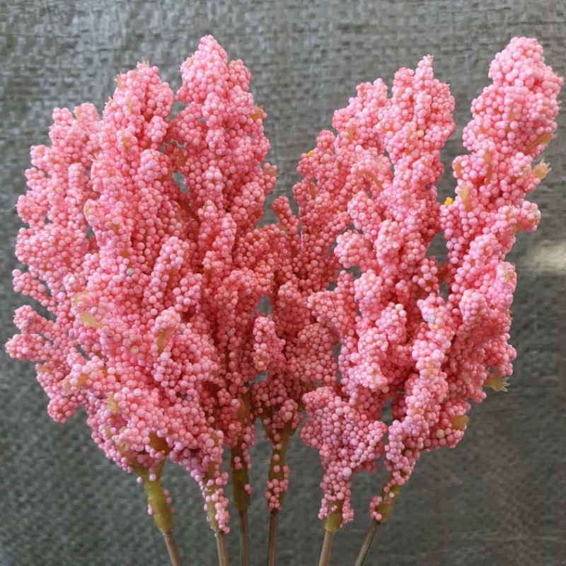 ( 6 Pcs ) Bunga Edelweiss Foam / Bunga Artificial-Pink