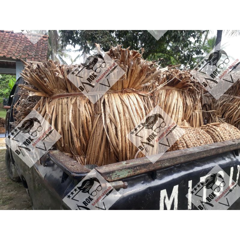 grosir kiloan bahan eceng gondok kering / eceng lawaran bahan kerajinan .
