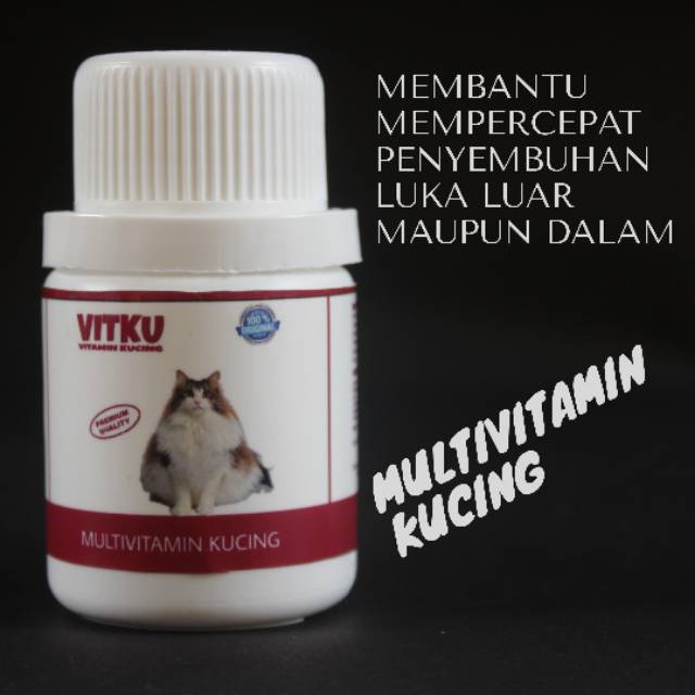 Vitamin Kucing Membantu Mempercepat Penyembuhan Luka Luar Maupun Dalam Shopee Indonesia