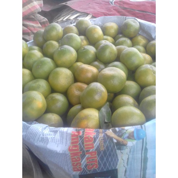 

Jeruk Manis Sumatera G.A.S