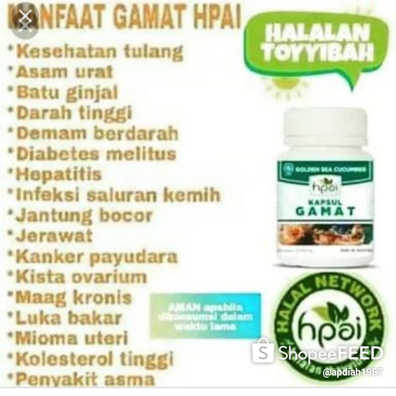 gamat hni hpai
