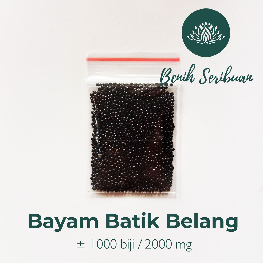 2000 Benih Bibit Bayam Batik Belang Sayuran Loreng Unggul - Bibit Tanaman Sayur Seribuan Berkualitas