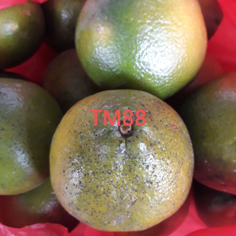 

JERUK MADU SUSU/NEN CUI KAM