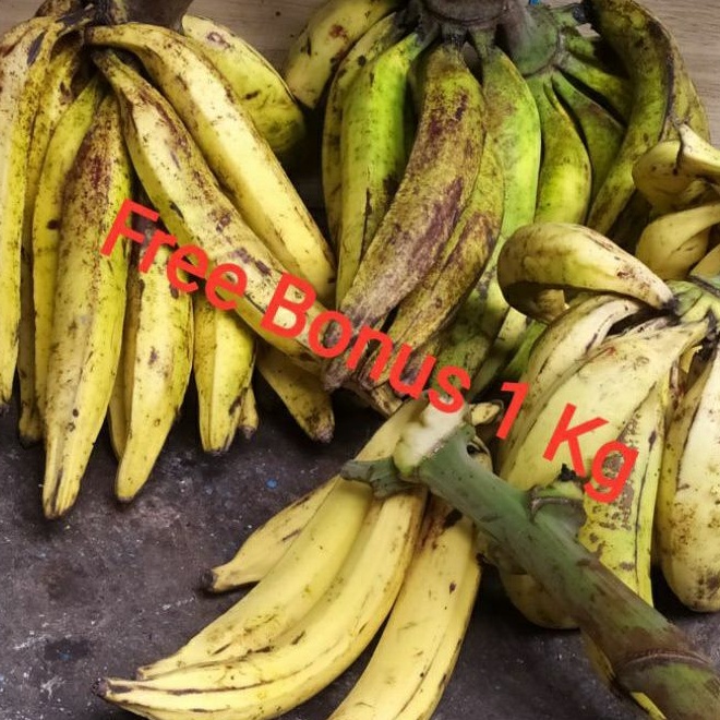 

Pisang Tanduk Per Pcs ~ Buah + Gratis Bonus