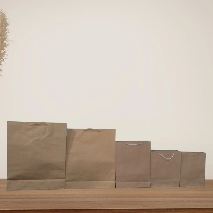 

PROMO PAPER BAG POLOS / PAPERBAG POLOS / TAS KERTAS COKLAT - POLOS KECIL