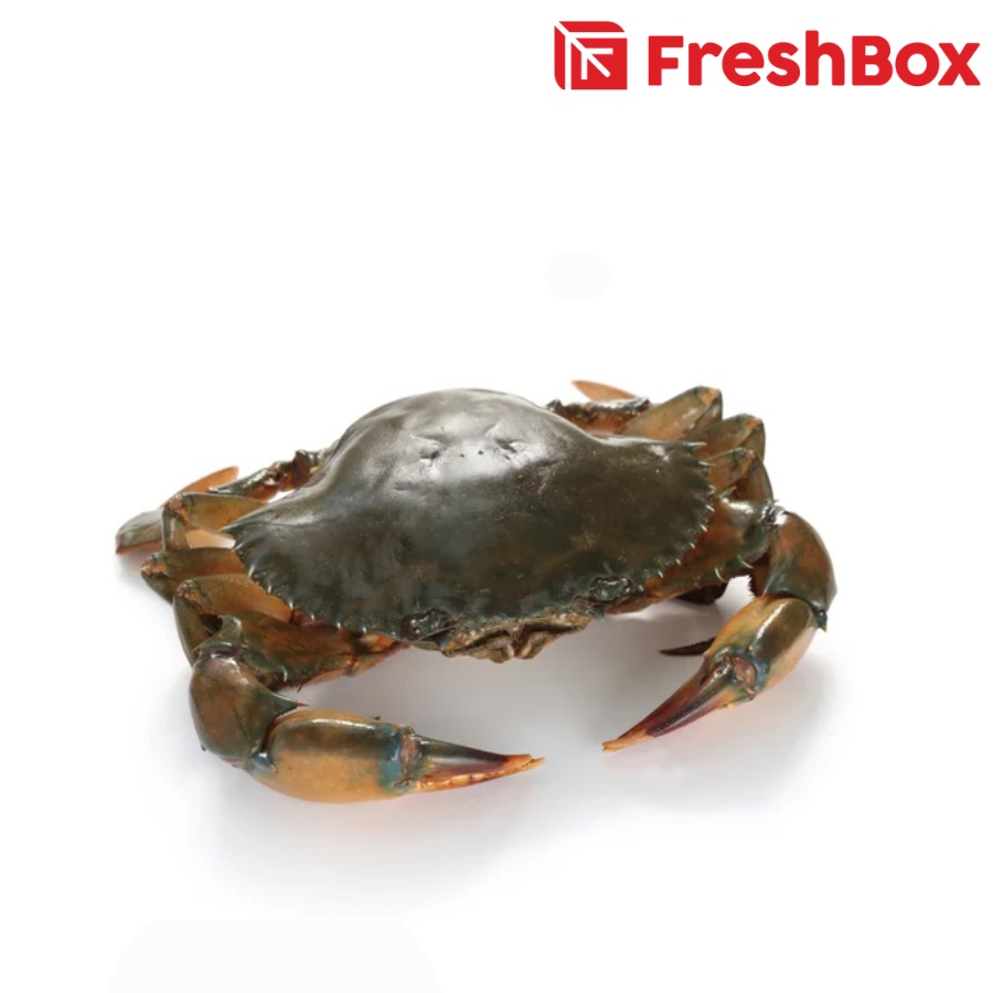 

Kepiting Bakau 500 gr Freshbox