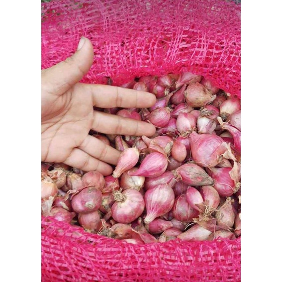 

PROMO Bawang Merah 1 kg