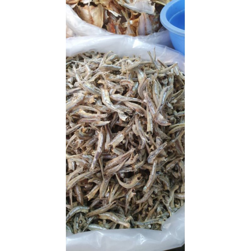 

ikan bilis uk sedang grade A