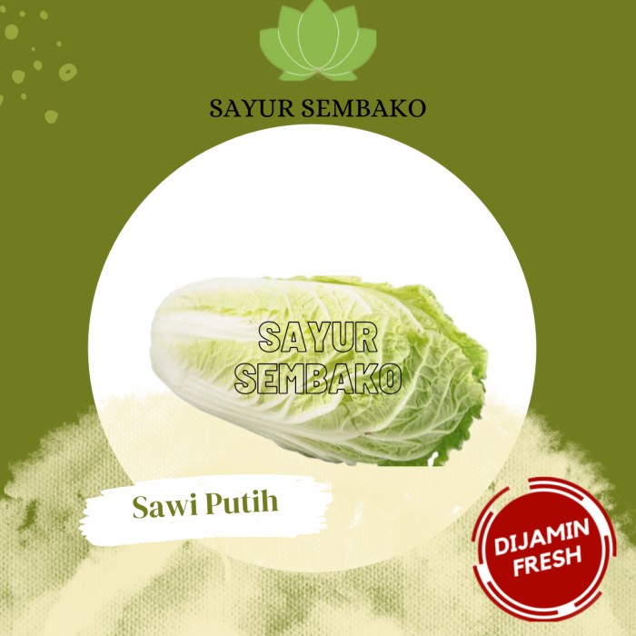 

Sawi Putih