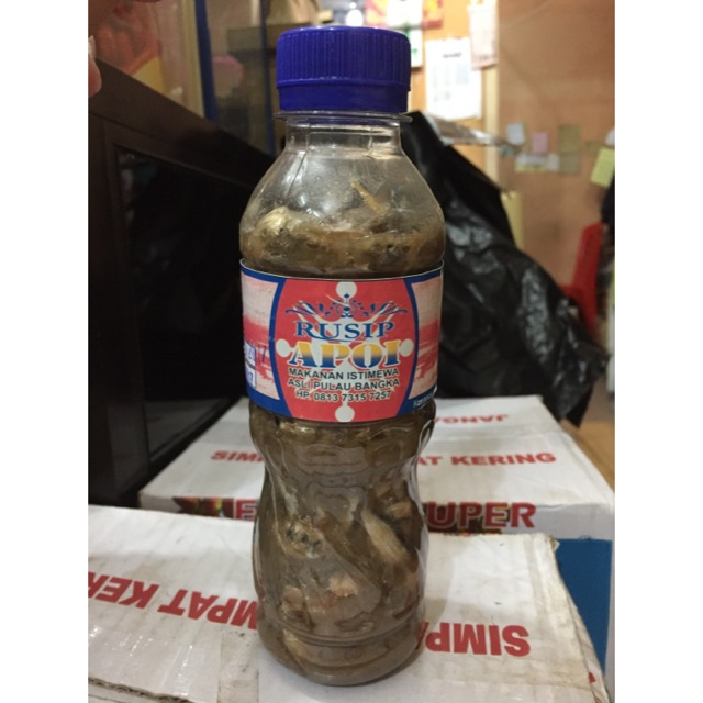

Rusip Apoi Asli Bangka