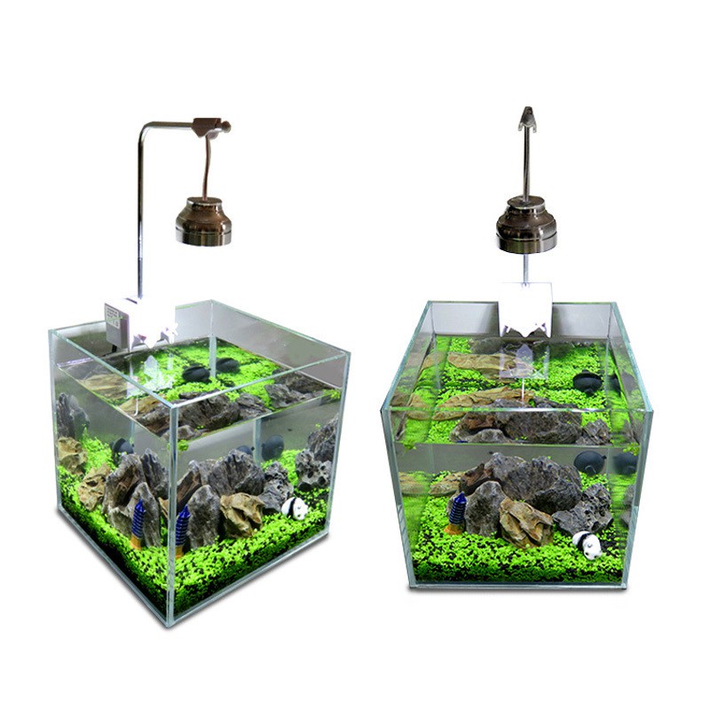 Bibit Rumput Air Dekorasi Aquarium Tanaman Hias Aquascape Akuarium Natural Landscape Ornament