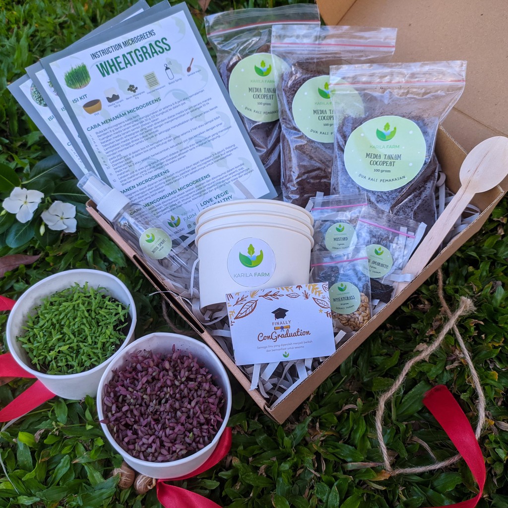 HAMPERS | GIFTBOX | GIFTBOX 2 PAKET BERTANAM MICROGREENS KARILA FARM | Set Berkebun Microgreens Kit
