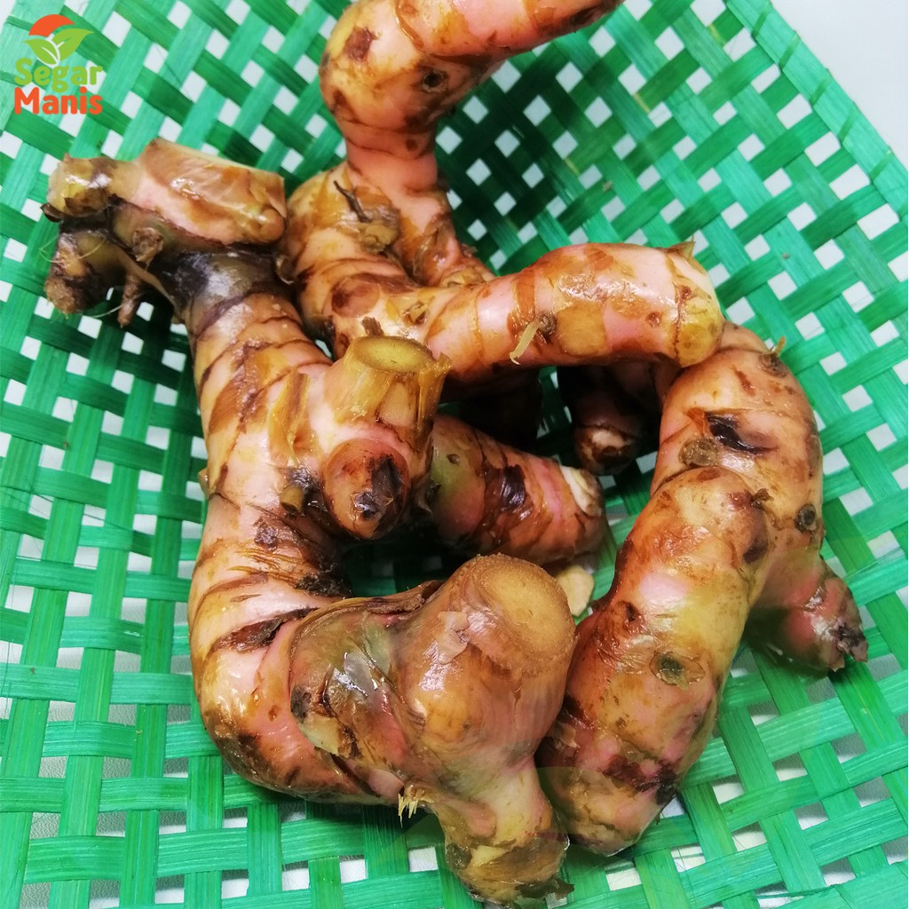 

Lengkuas Super 250gr