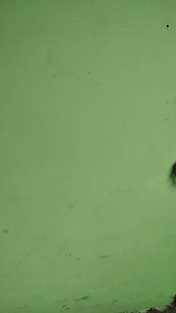 Wajan Cekung No.12 (anti Lengket)