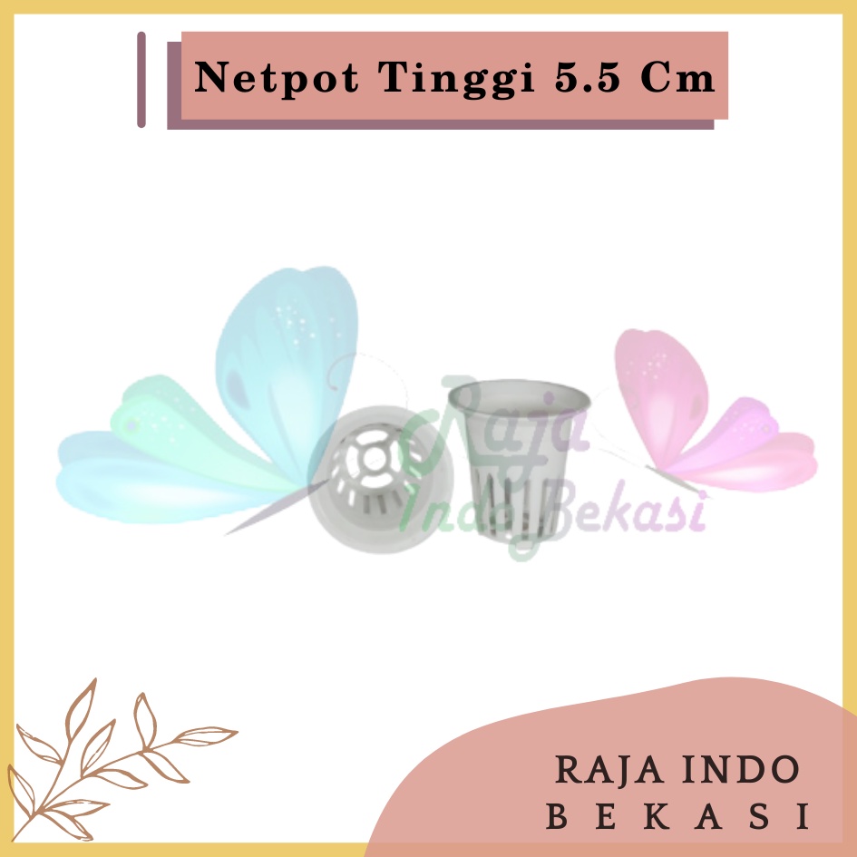 Netpot Putih 5CM New Design Lubang Bawah 1 Grosir Net Pot Hidroponik 5 Cm Tinggi 5.5CM Hydroponic