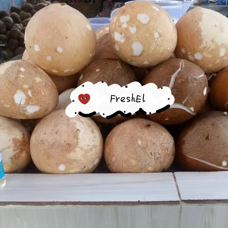 

FreshEl - KELAPA PARUT