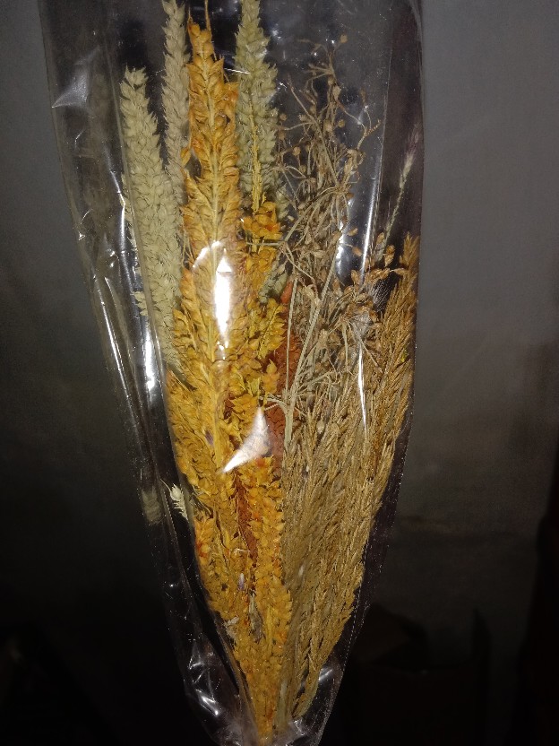 Bunga Kering Oson - Oson Violet