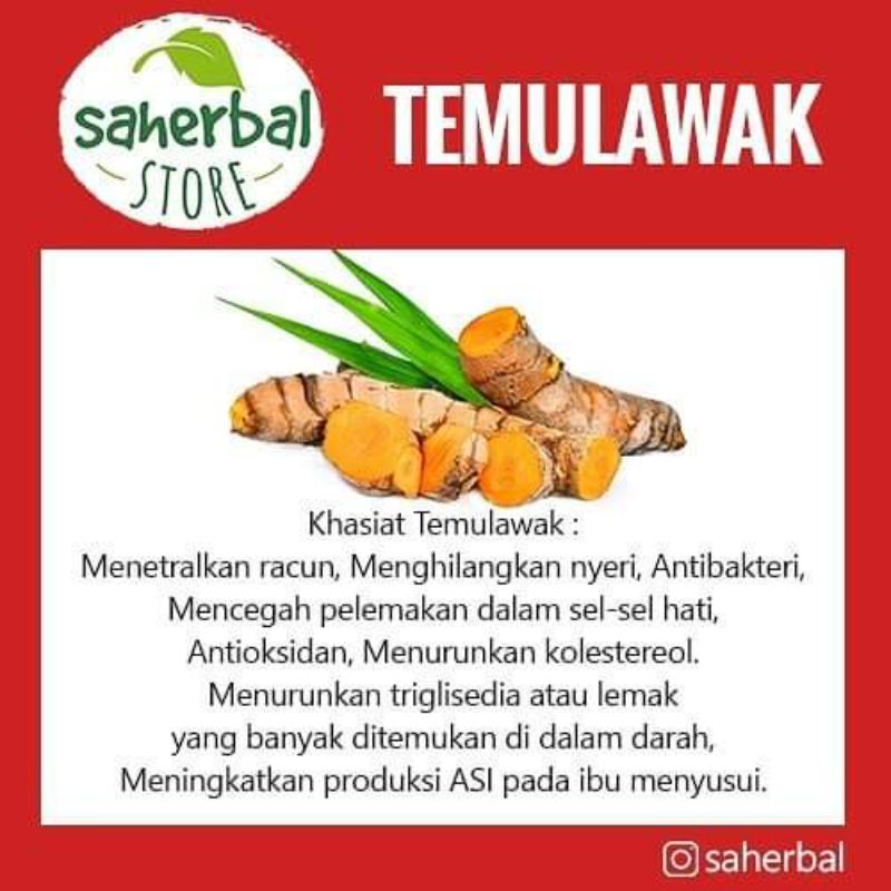 Curcuma Root Tea : Teh Temulawak Pure 100% Organic - 30 Tea Bag