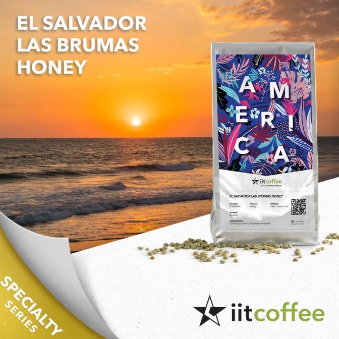 

Arabica Green Beans - El Salvador Las Brumas Honey - 1Kg
