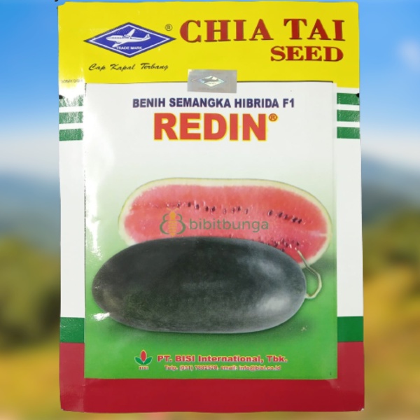 Benih Bibit Semangka Hibrida Inul Merah REDIN F1 20g Cap Kapal Terbang
