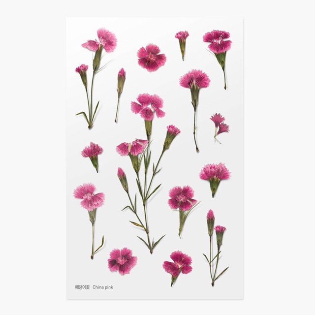 

Appree Pressed Flower Sticker - China Pink [013]