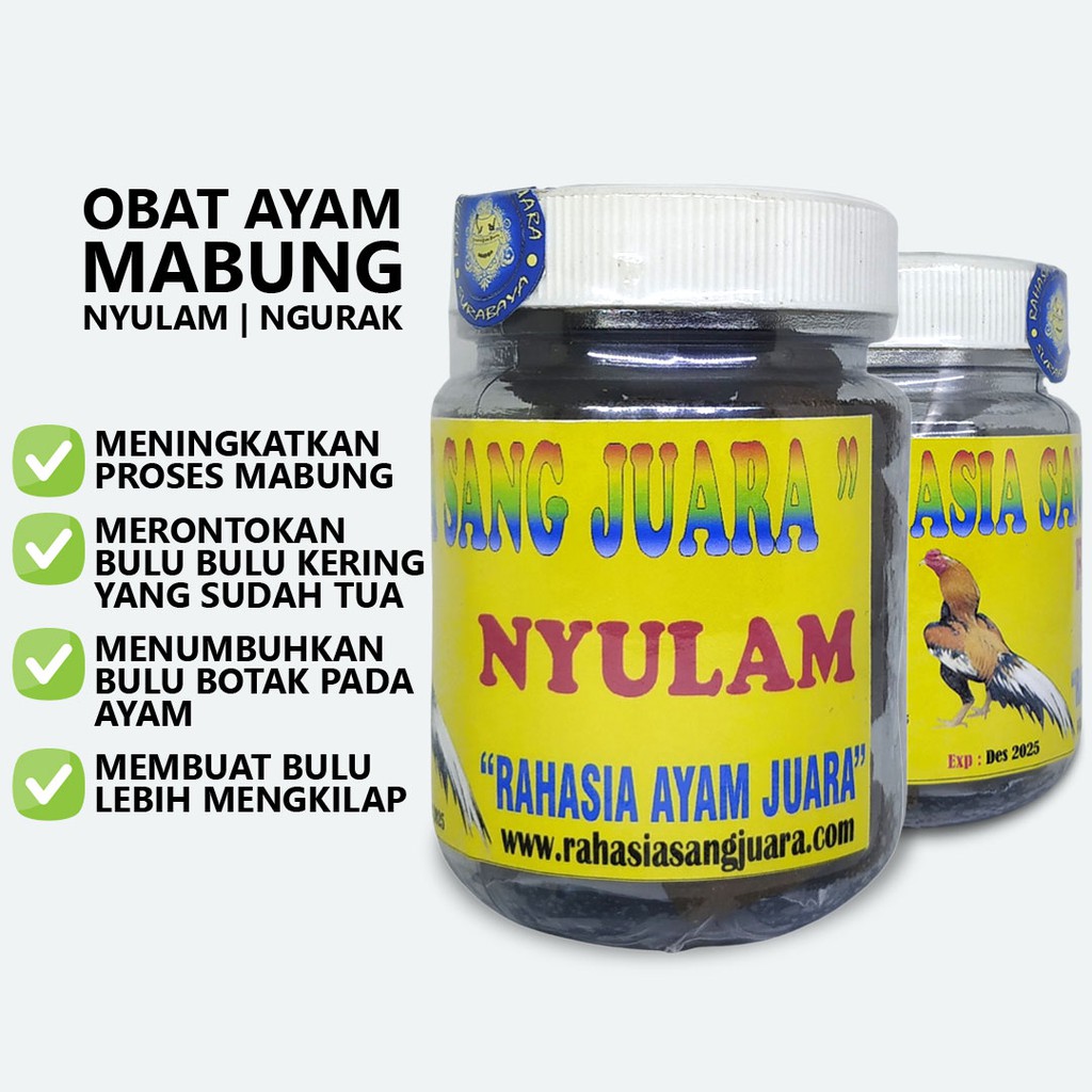 NYULAM AYAM - OBAT AYAM MABUNG NGURAK GANTI BULU