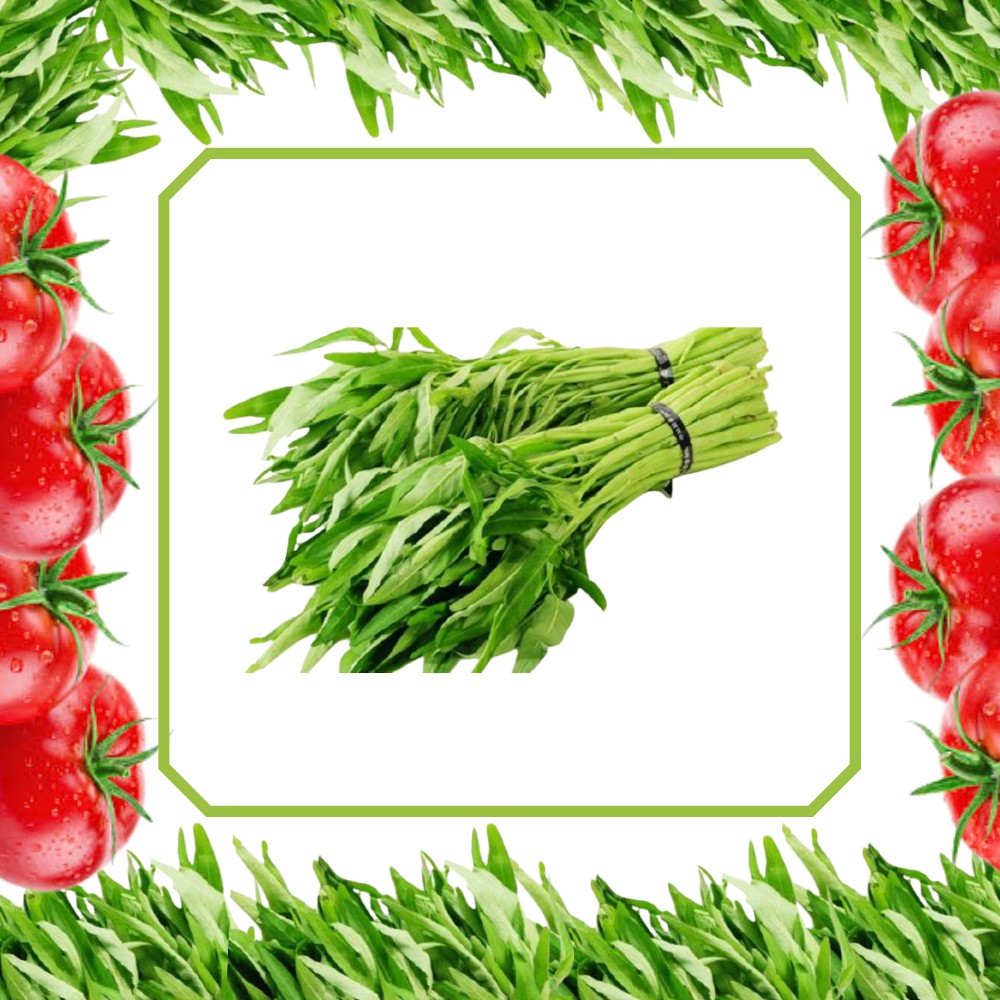 

sayuran segar kangkung segar fresh murah 1 iket