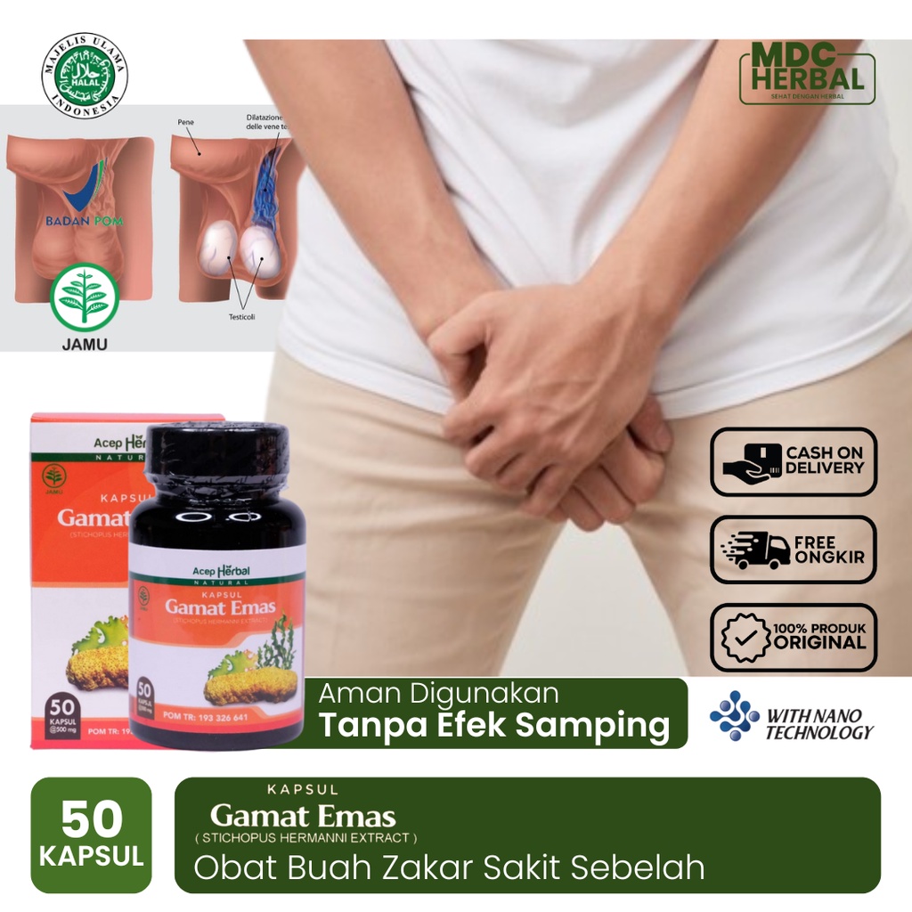Obat Buah Zakar Sakit Sebelah Kanan Kiri, Obat Buah Zakar Bengkak Sebelah, Testis Bengkak, Buah Zaka