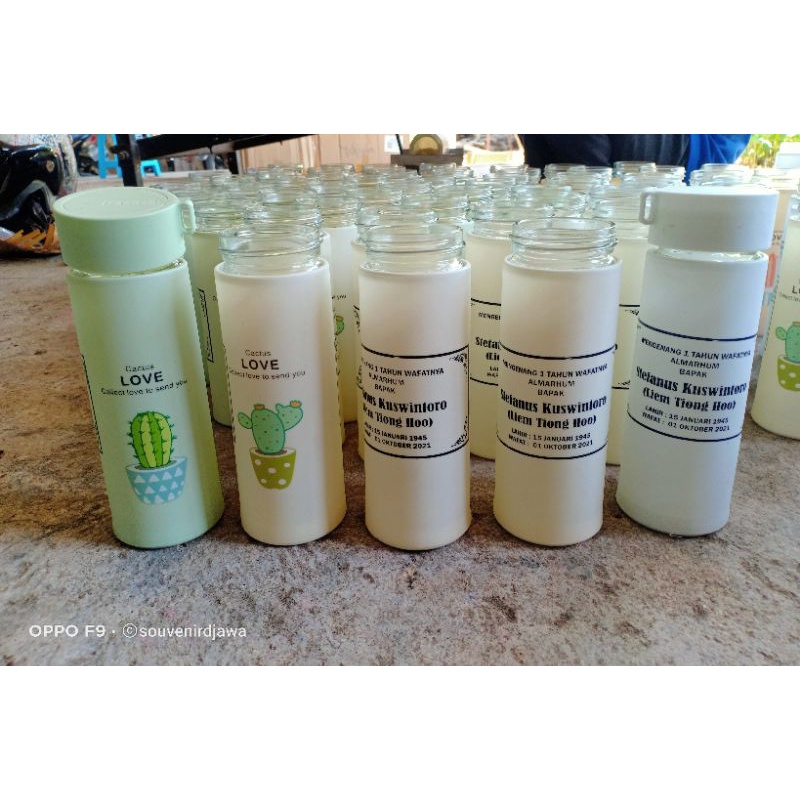 Souvenir Tumbler Botol Minum Kaktus