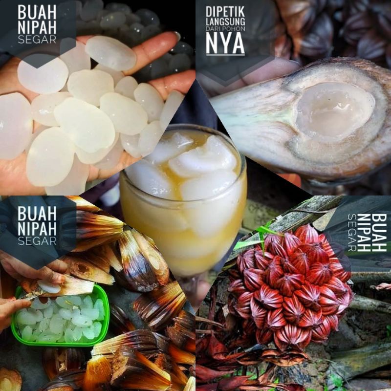 Buah nipah segar